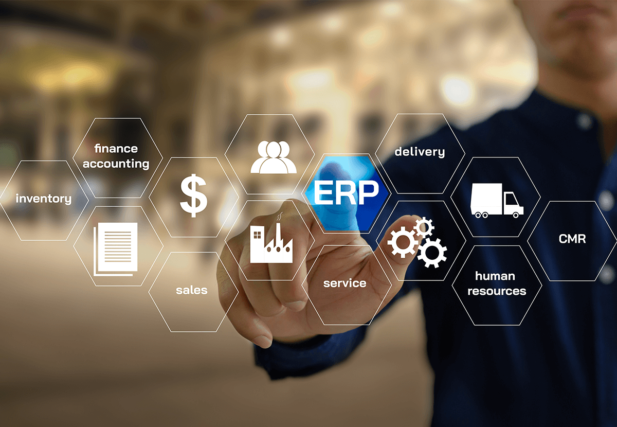 ERP Systems Development
